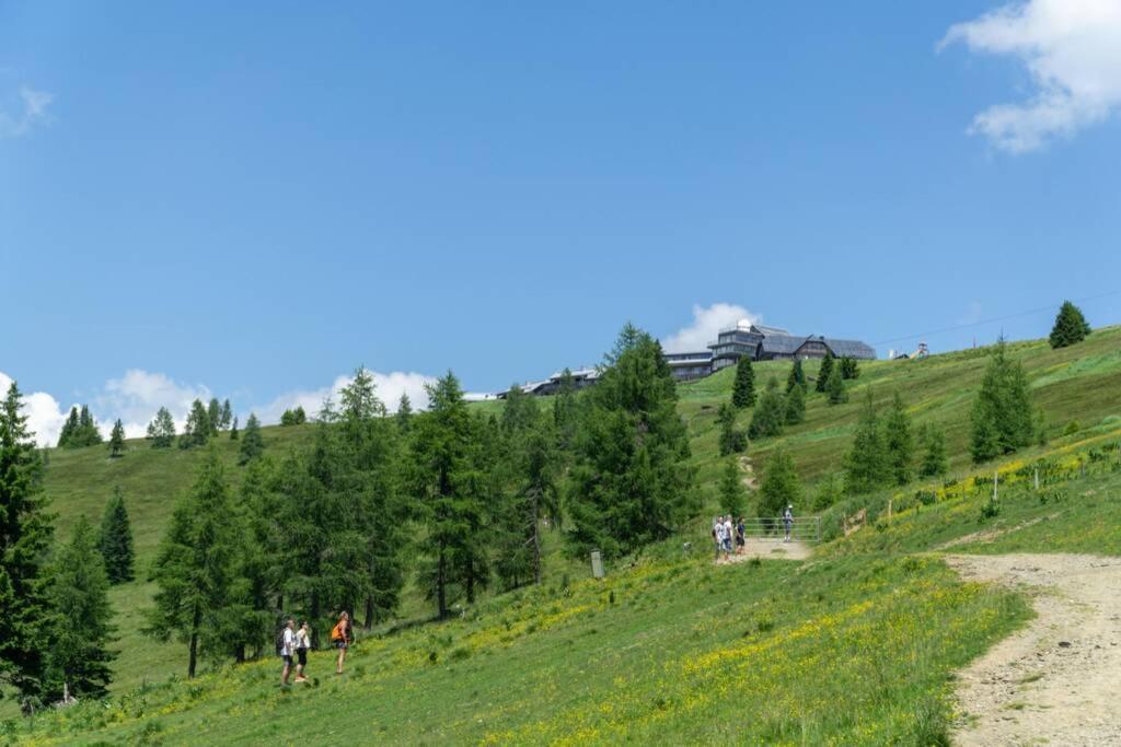 Hundefreundliche Bergwohnung Neben Der Skipiste - Mittelstation Skigebiet Gerlitzen Kanzelhohe Exterior photo