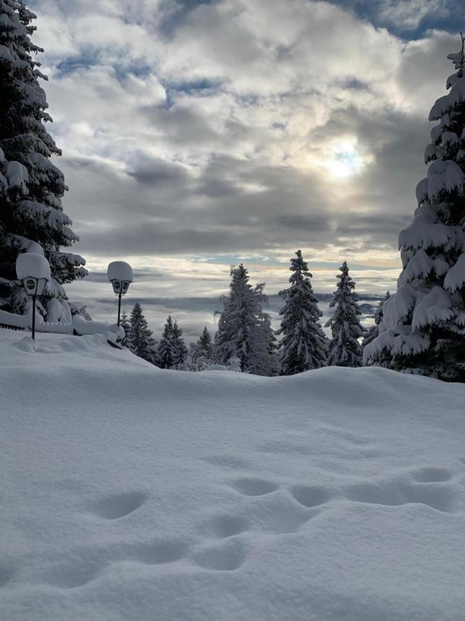 Hundefreundliche Bergwohnung Neben Der Skipiste - Mittelstation Skigebiet Gerlitzen Kanzelhohe Exterior photo