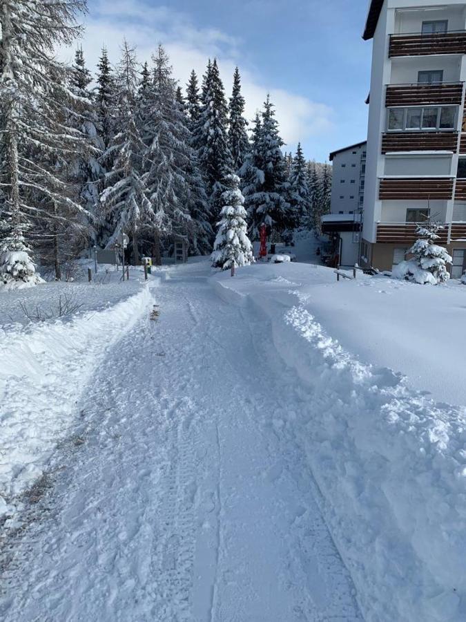 Hundefreundliche Bergwohnung Neben Der Skipiste - Mittelstation Skigebiet Gerlitzen Kanzelhohe Exterior photo