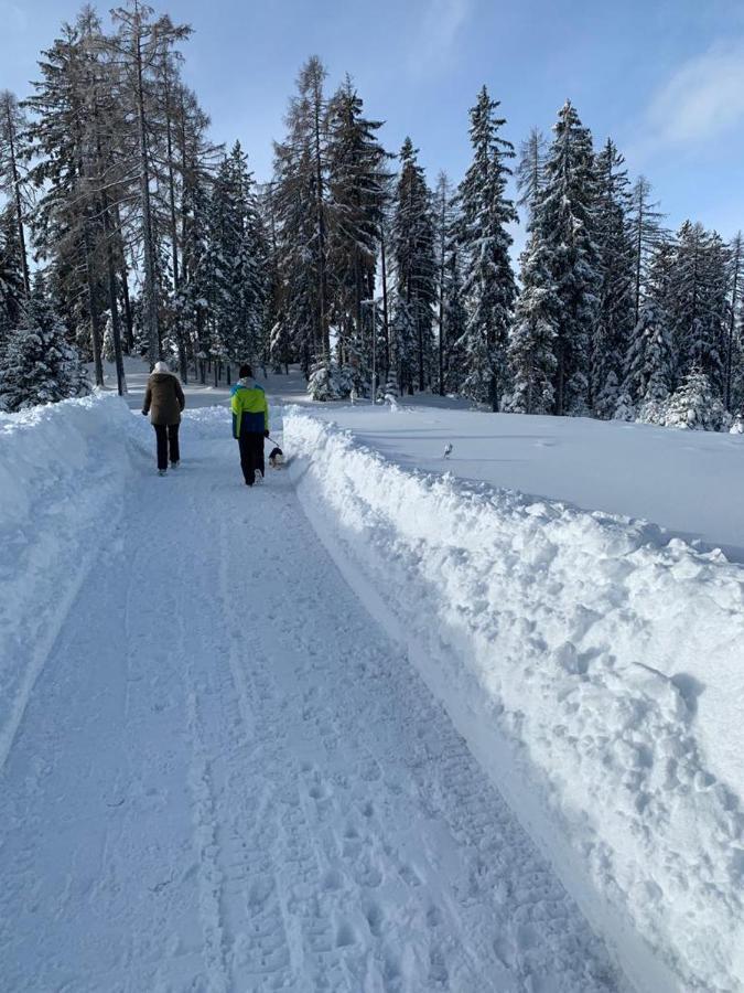 Hundefreundliche Bergwohnung Neben Der Skipiste - Mittelstation Skigebiet Gerlitzen Kanzelhohe Exterior photo