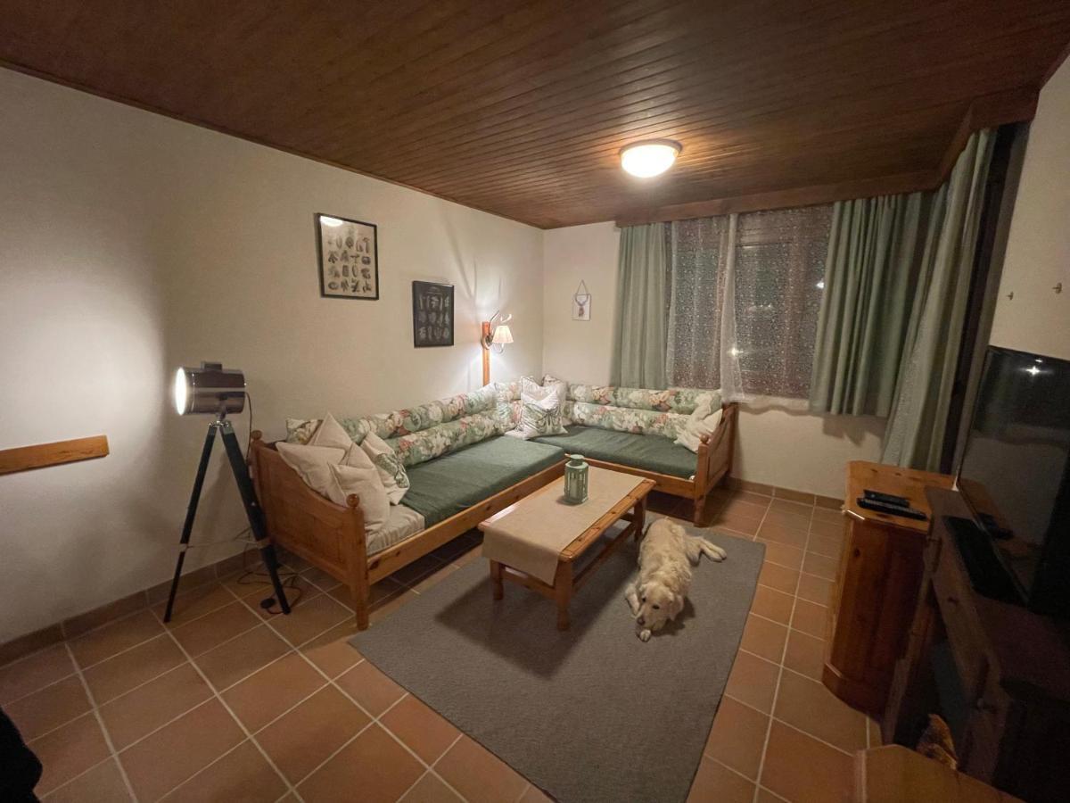 Hundefreundliche Bergwohnung Neben Der Skipiste - Mittelstation Skigebiet Gerlitzen Kanzelhohe Exterior photo