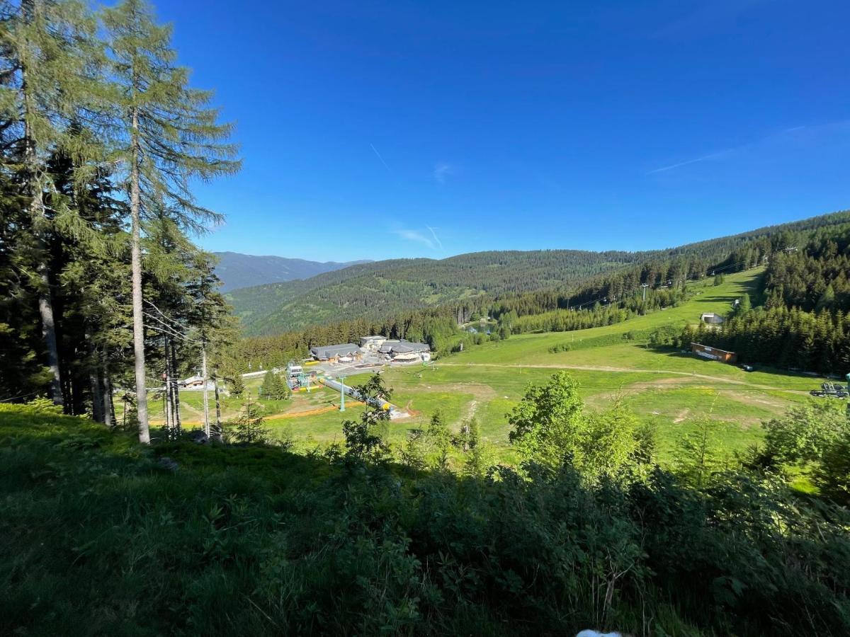 Hundefreundliche Bergwohnung Neben Der Skipiste - Mittelstation Skigebiet Gerlitzen Kanzelhohe Exterior photo