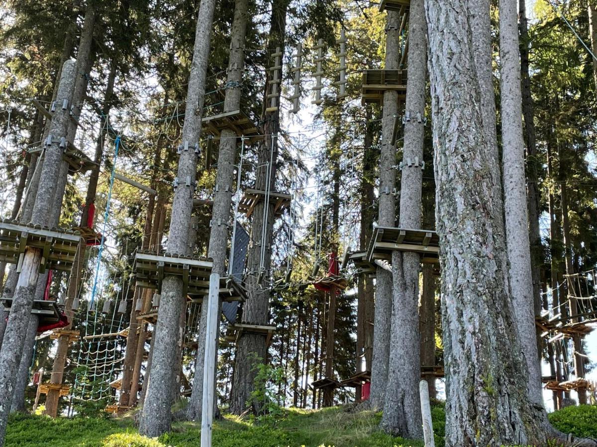 Hundefreundliche Bergwohnung Neben Der Skipiste - Mittelstation Skigebiet Gerlitzen Kanzelhohe Exterior photo